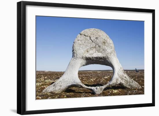 Whale Vertebrae on Tundra in Tusenoyane Archipelago-Paul Souders-Framed Photographic Print