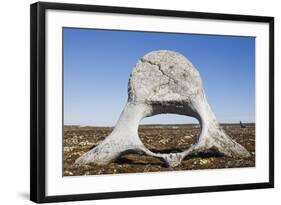 Whale Vertebrae on Tundra in Tusenoyane Archipelago-Paul Souders-Framed Photographic Print