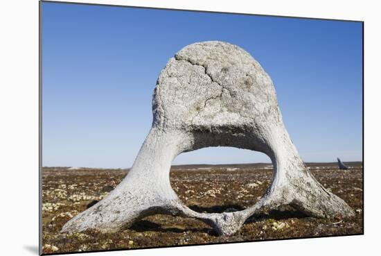 Whale Vertebrae on Tundra in Tusenoyane Archipelago-Paul Souders-Mounted Photographic Print