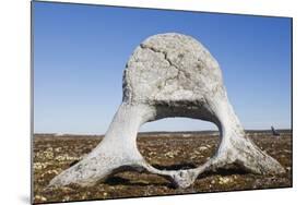 Whale Vertebrae on Tundra in Tusenoyane Archipelago-Paul Souders-Mounted Photographic Print