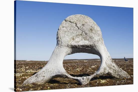 Whale Vertebrae on Tundra in Tusenoyane Archipelago-Paul Souders-Stretched Canvas