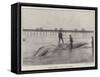 Whale Washed Ashore at Boscombe-null-Framed Stretched Canvas