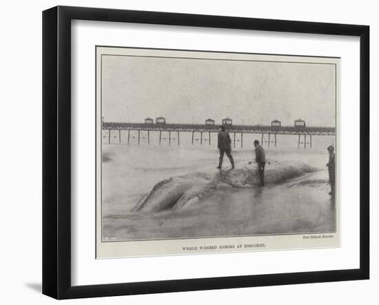 Whale Washed Ashore at Boscombe-null-Framed Giclee Print