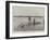 Whale Washed Ashore at Boscombe-null-Framed Giclee Print