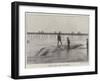 Whale Washed Ashore at Boscombe-null-Framed Giclee Print