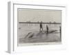 Whale Washed Ashore at Boscombe-null-Framed Giclee Print