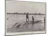 Whale Washed Ashore at Boscombe-null-Mounted Giclee Print