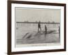 Whale Washed Ashore at Boscombe-null-Framed Giclee Print