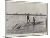 Whale Washed Ashore at Boscombe-null-Mounted Giclee Print