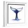 Whale Wave II-Grace Popp-Framed Art Print