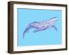 Whale-Drawpaint Illustration-Framed Giclee Print