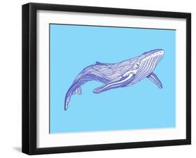 Whale-Drawpaint Illustration-Framed Giclee Print