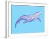 Whale-Drawpaint Illustration-Framed Giclee Print