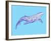 Whale-Drawpaint Illustration-Framed Giclee Print