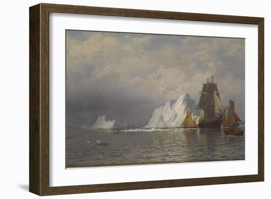 Whaler and Fishing Vessels Near the Coast of Labrador, C.1880-William Bradford-Framed Giclee Print