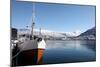 Whaler in Tromso Harbour with the Bridge and Cathedral in Background-David Lomax-Mounted Photographic Print