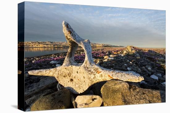 Whalers' Graves, Deadman Island, Nunavut, Canada-Paul Souders-Stretched Canvas