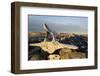 Whalers' Graves, Deadman Island, Nunavut, Canada-Paul Souders-Framed Photographic Print