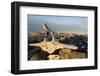 Whalers' Graves, Deadman Island, Nunavut, Canada-Paul Souders-Framed Photographic Print