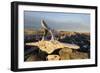 Whalers' Graves, Deadman Island, Nunavut, Canada-Paul Souders-Framed Photographic Print