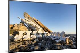 Whalers' Graves, Deadman Island, Nunavut, Canada-Paul Souders-Mounted Photographic Print