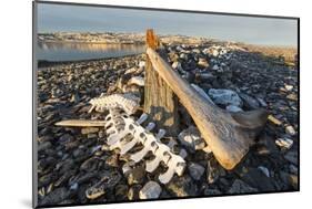 Whalers' Graves, Deadman Island, Nunavut, Canada-Paul Souders-Mounted Photographic Print