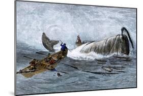 Whalers in Longboats Lancing a Whale with Harpoons, 1800s-null-Mounted Giclee Print
