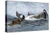 Whalers in Longboats Lancing a Whale with Harpoons, 1800s-null-Stretched Canvas