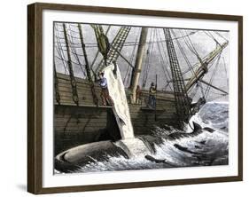 Whalers Removing Blubber from a Dead Whale-null-Framed Giclee Print