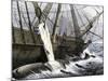 Whalers Removing Blubber from a Dead Whale-null-Mounted Giclee Print