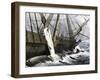 Whalers Removing Blubber from a Dead Whale-null-Framed Giclee Print