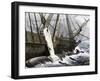 Whalers Removing Blubber from a Dead Whale-null-Framed Giclee Print