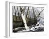 Whalers Removing Blubber from a Dead Whale-null-Framed Giclee Print