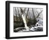 Whalers Removing Blubber from a Dead Whale-null-Framed Giclee Print