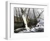 Whalers Removing Blubber from a Dead Whale-null-Framed Giclee Print
