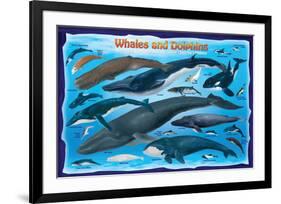 Whales and Dolphins for Kids-null-Framed Premium Giclee Print