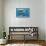 Whales and Dolphins for Kids-null-Stretched Canvas displayed on a wall