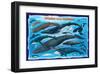 Whales and Dolphins for Kids-null-Framed Art Print