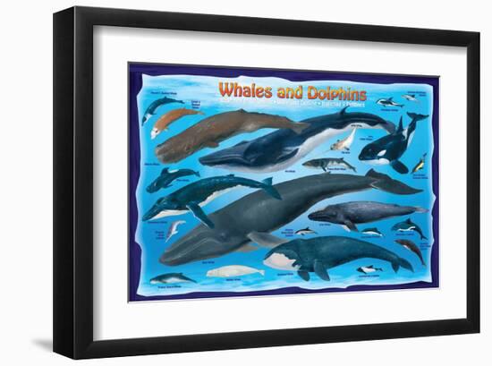 Whales and Dolphins for Kids-null-Framed Art Print