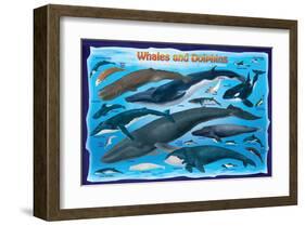 Whales and Dolphins for Kids-null-Framed Art Print