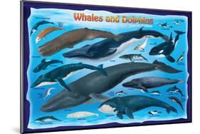 Whales and Dolphins for Kids-null-Mounted Art Print