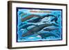 Whales and Dolphins for Kids-null-Framed Art Print