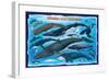 Whales and Dolphins for Kids-null-Framed Art Print