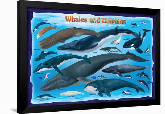 Whales and Dolphins for Kids-null-Framed Art Print