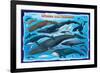 Whales and Dolphins for Kids-null-Framed Art Print