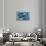 Whales and Dolphins-null-Stretched Canvas displayed on a wall