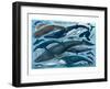 Whales and Dolphins-null-Framed Art Print