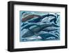 Whales and Dolphins-null-Framed Art Print