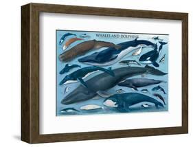 Whales and Dolphins-null-Framed Art Print