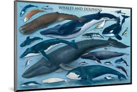 Whales and Dolphins-null-Mounted Art Print
